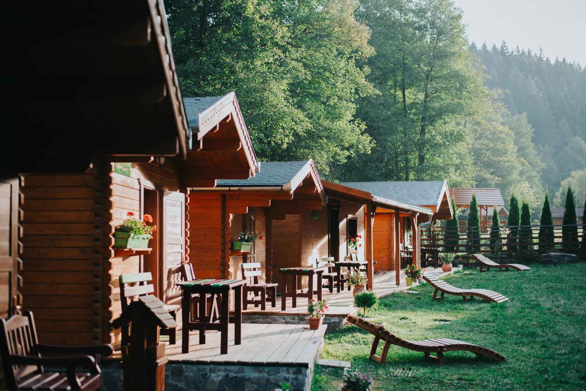 Vidra Park Hotel Sicasau Bagian luar foto