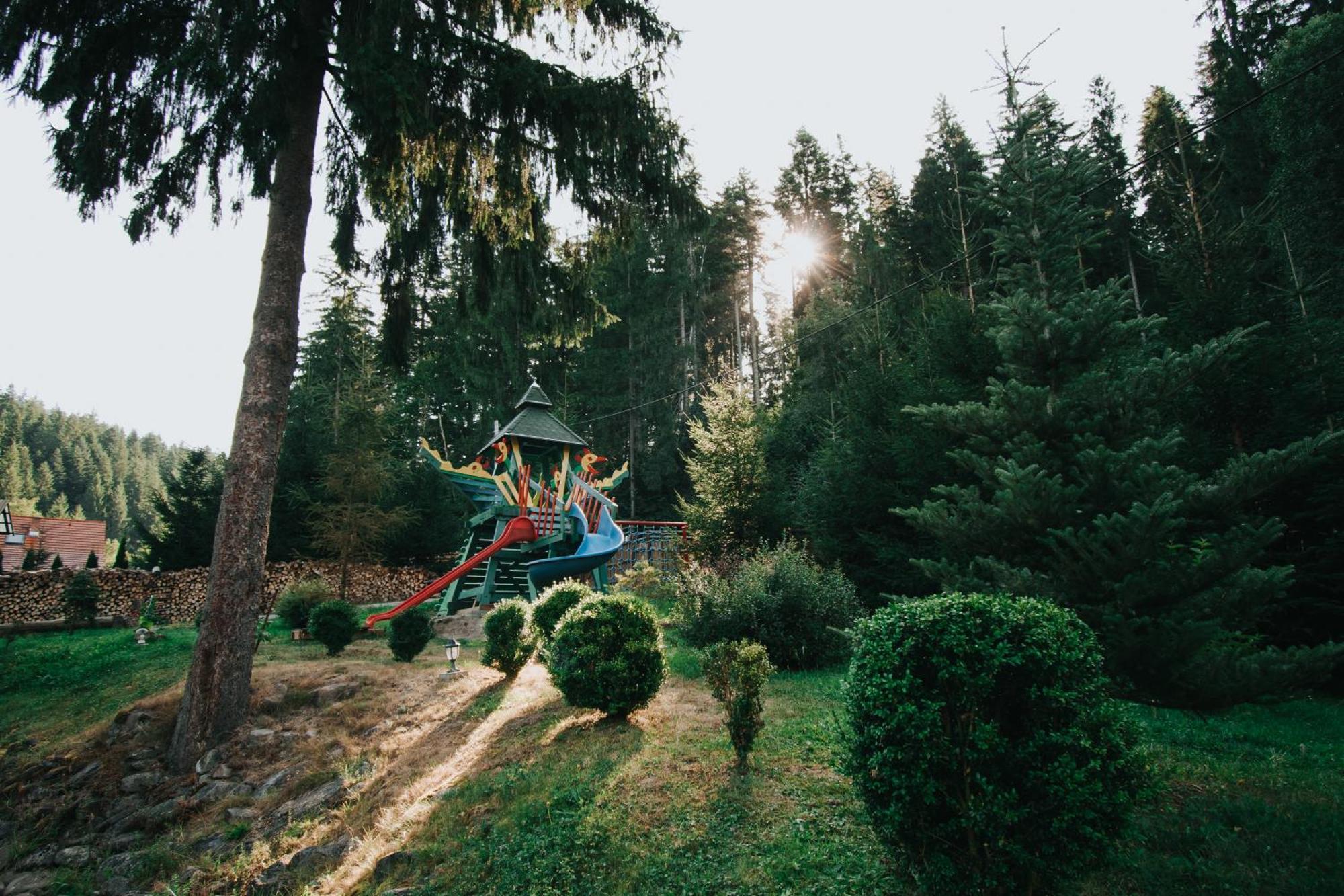 Vidra Park Hotel Sicasau Bagian luar foto