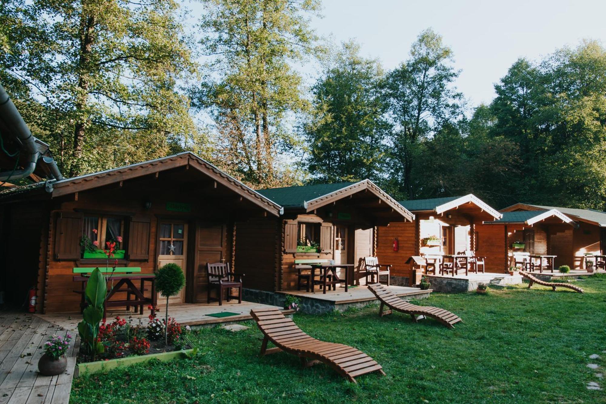 Vidra Park Hotel Sicasau Bagian luar foto