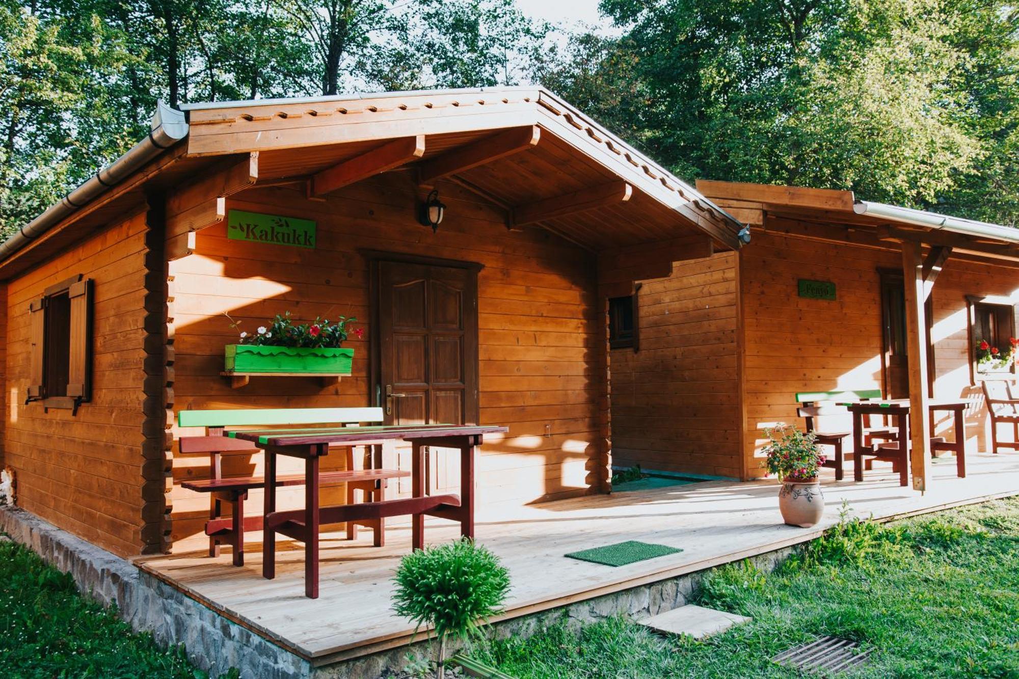 Vidra Park Hotel Sicasau Bagian luar foto