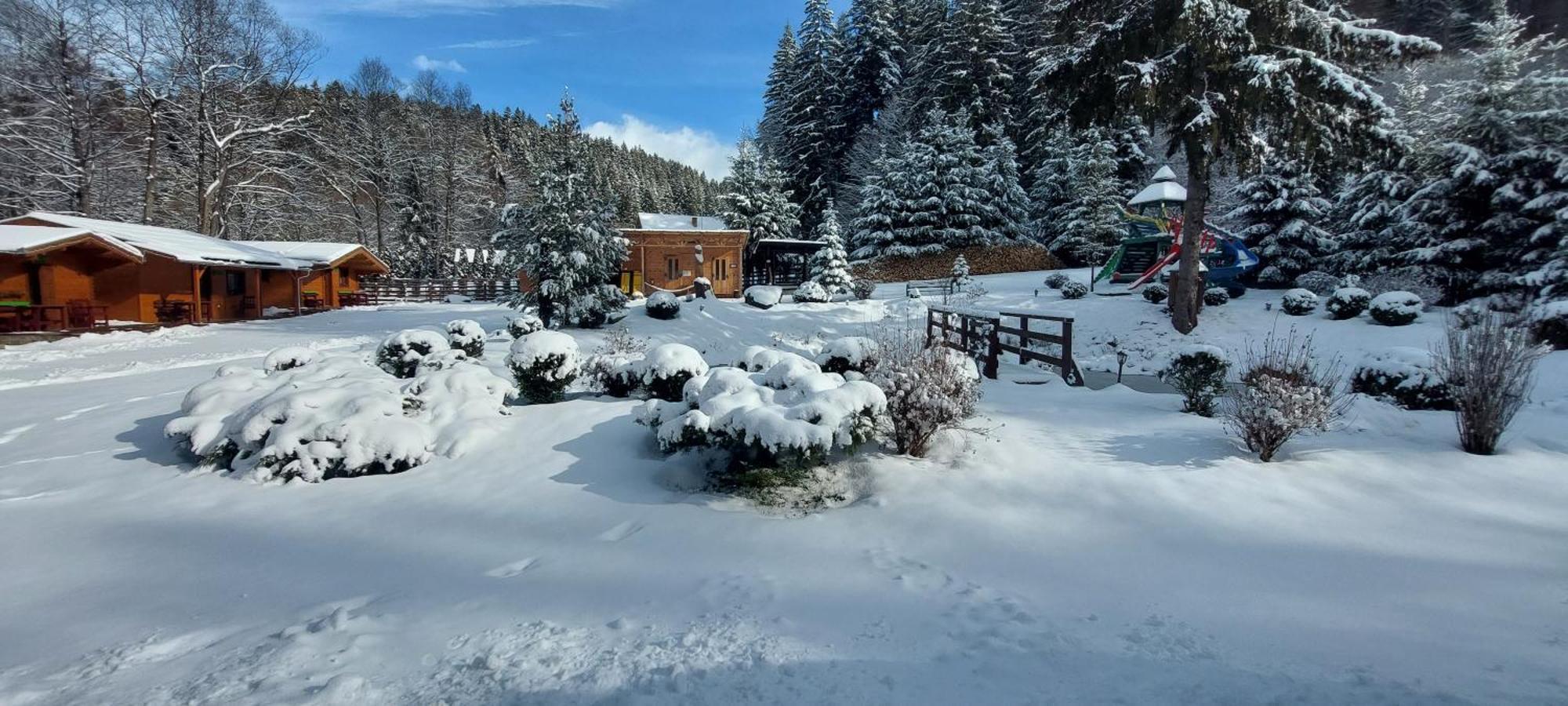 Vidra Park Hotel Sicasau Bagian luar foto