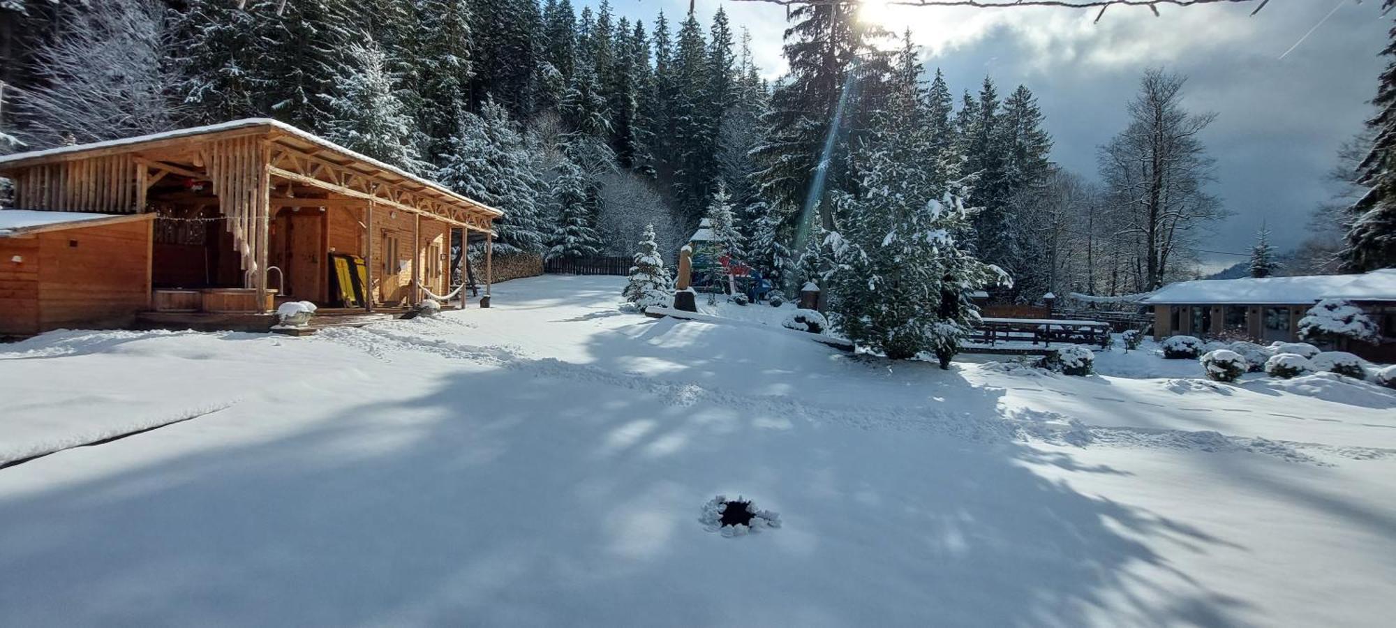 Vidra Park Hotel Sicasau Bagian luar foto