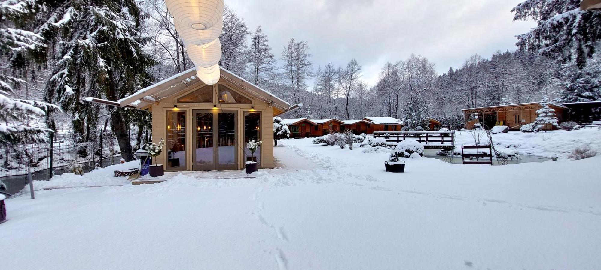 Vidra Park Hotel Sicasau Bagian luar foto